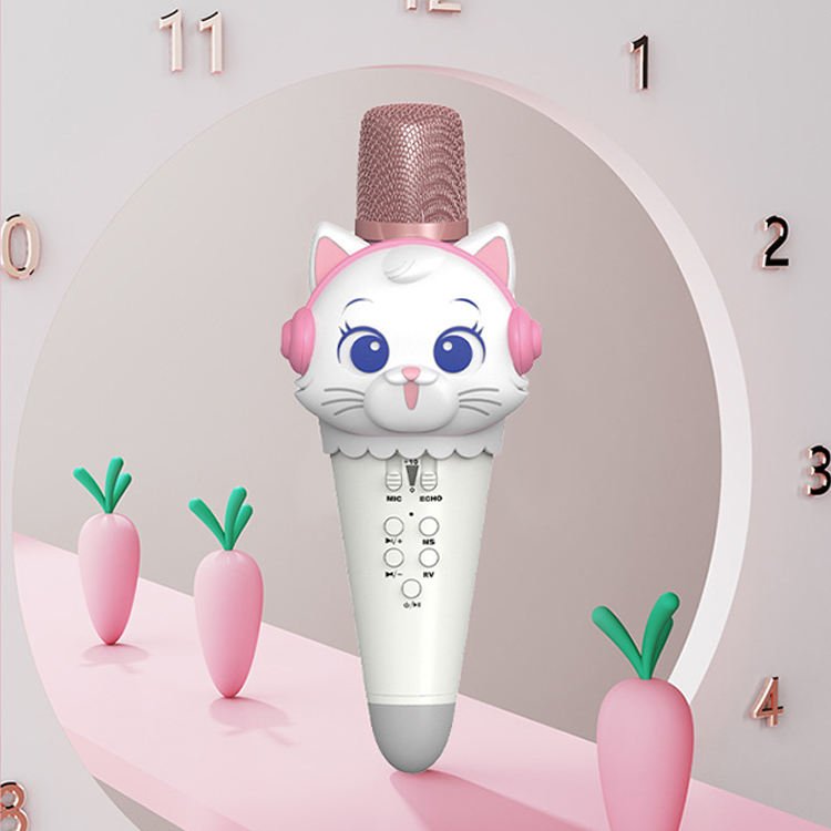 Cute kids Microphone